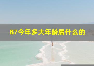 87今年多大年龄属什么的