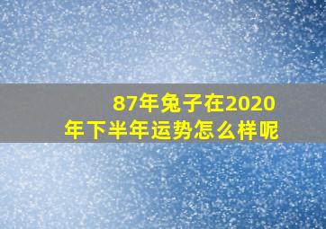 87年兔子在2020年下半年运势怎么样呢