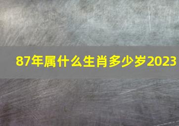 87年属什么生肖多少岁2023