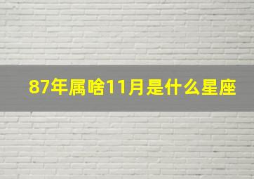 87年属啥11月是什么星座