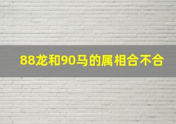 88龙和90马的属相合不合