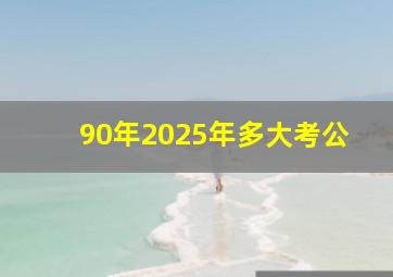 90年2025年多大考公