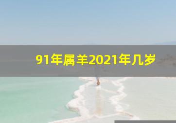 91年属羊2021年几岁