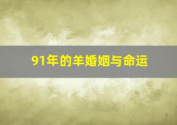 91年的羊婚姻与命运