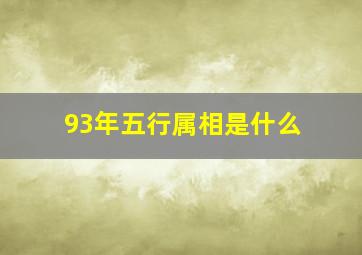 93年五行属相是什么