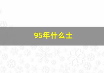 95年什么土