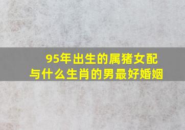 95年出生的属猪女配与什么生肖的男最好婚姻