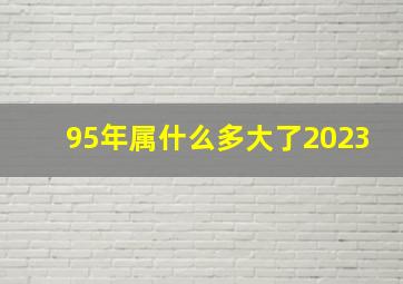 95年属什么多大了2023