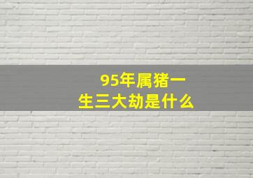 95年属猪一生三大劫是什么