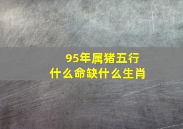 95年属猪五行什么命缺什么生肖