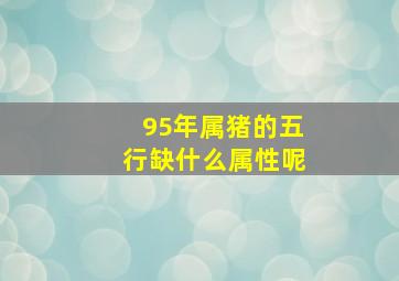 95年属猪的五行缺什么属性呢