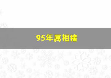 95年属相猪