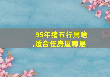 95年猪五行属啥,适合住房屋哪层