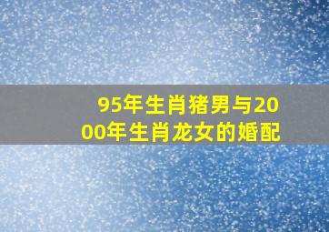 95年生肖猪男与2000年生肖龙女的婚配