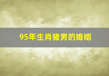 95年生肖猪男的婚姻