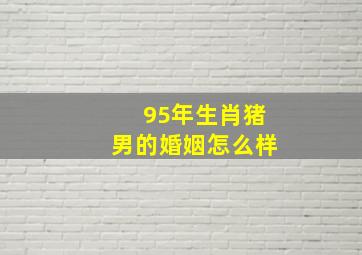 95年生肖猪男的婚姻怎么样