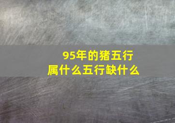 95年的猪五行属什么五行缺什么