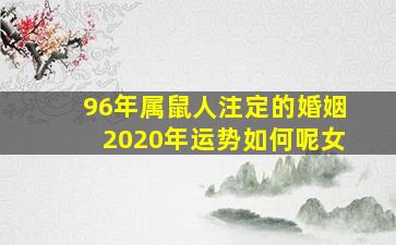 96年属鼠人注定的婚姻2020年运势如何呢女