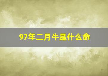 97年二月牛是什么命