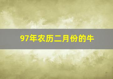 97年农历二月份的牛