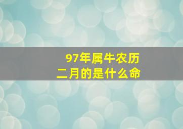 97年属牛农历二月的是什么命