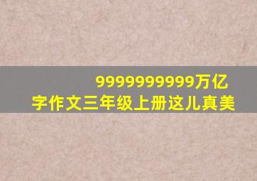 9999999999万亿字作文三年级上册这儿真美