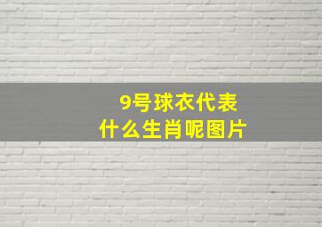 9号球衣代表什么生肖呢图片