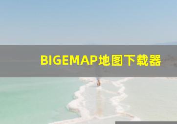 BIGEMAP地图下载器