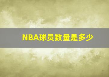 NBA球员数量是多少