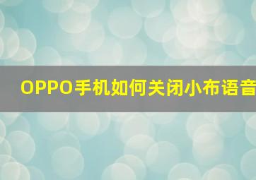 OPPO手机如何关闭小布语音