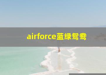 airforce蓝绿鸳鸯