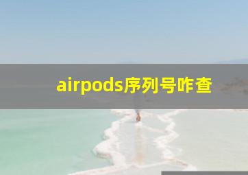 airpods序列号咋查