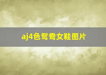 aj4色鸳鸯女鞋图片