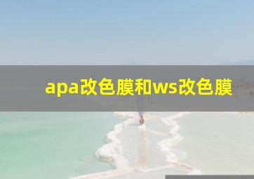 apa改色膜和ws改色膜