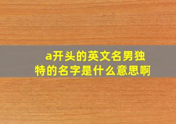 a开头的英文名男独特的名字是什么意思啊