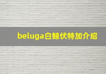 beluga白鲸伏特加介绍