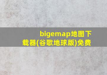 bigemap地图下载器(谷歌地球版)免费