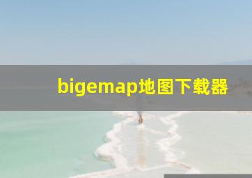 bigemap地图下载器