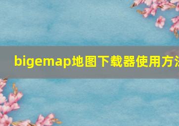 bigemap地图下载器使用方法