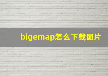 bigemap怎么下载图片