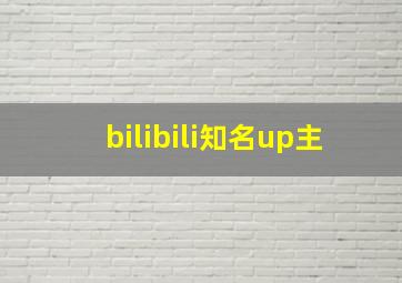 bilibili知名up主