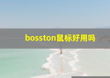 bosston鼠标好用吗