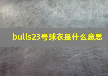 bulls23号球衣是什么意思