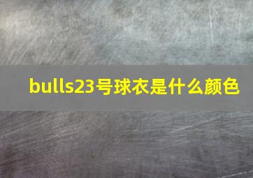 bulls23号球衣是什么颜色