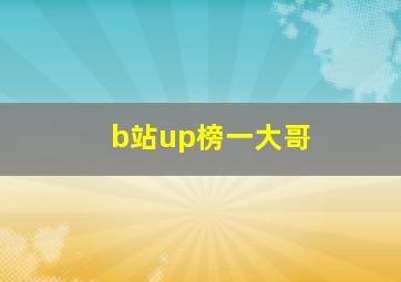 b站up榜一大哥