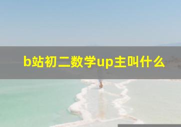 b站初二数学up主叫什么