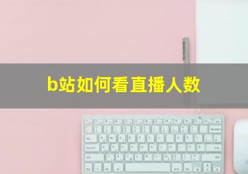 b站如何看直播人数