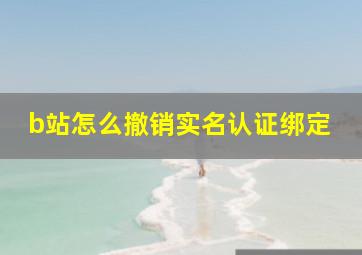 b站怎么撤销实名认证绑定