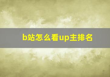 b站怎么看up主排名