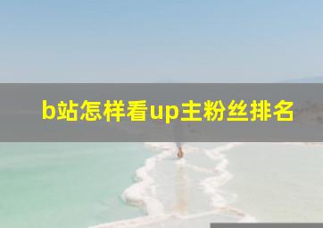 b站怎样看up主粉丝排名